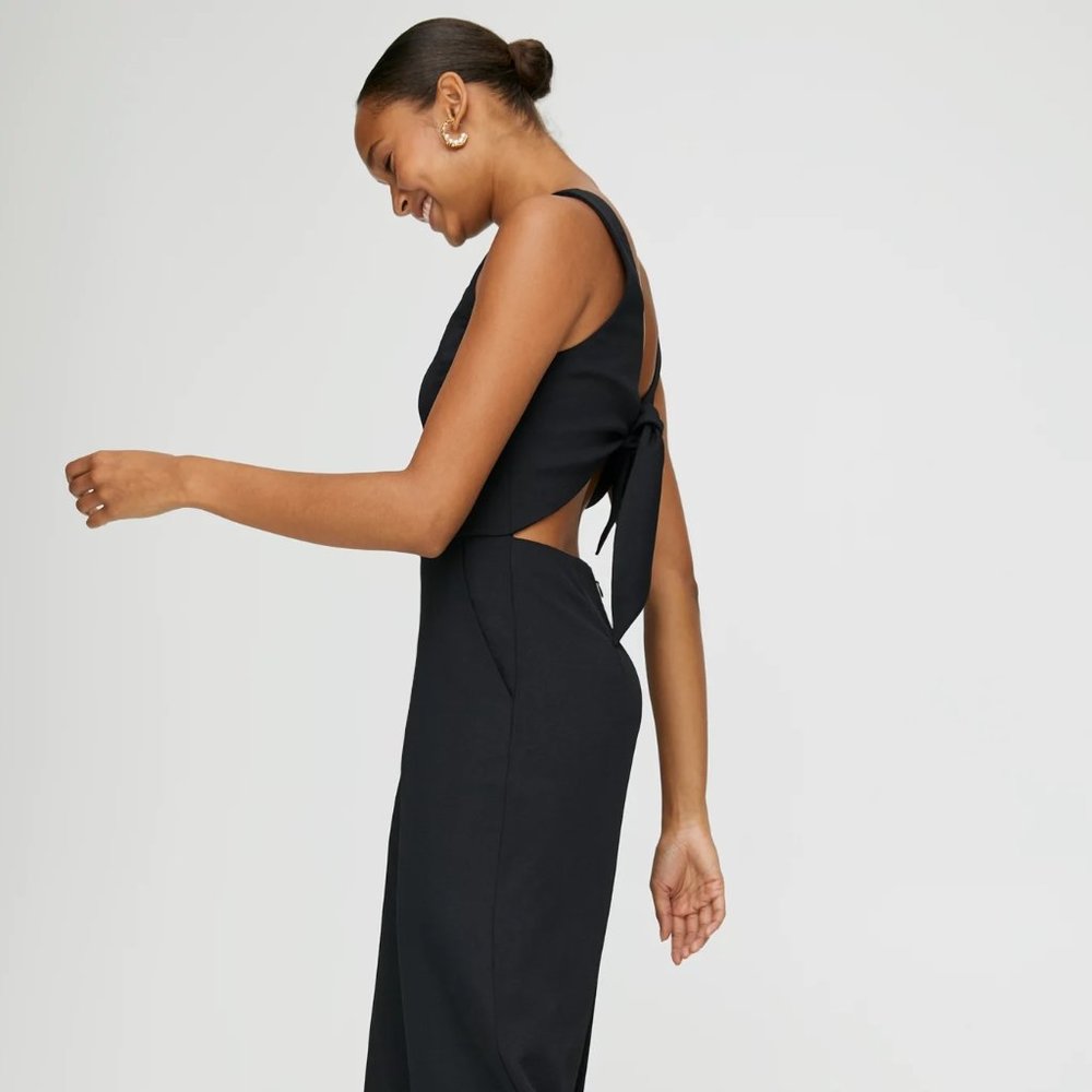 Aritzia Ecoulement Jumpsuit